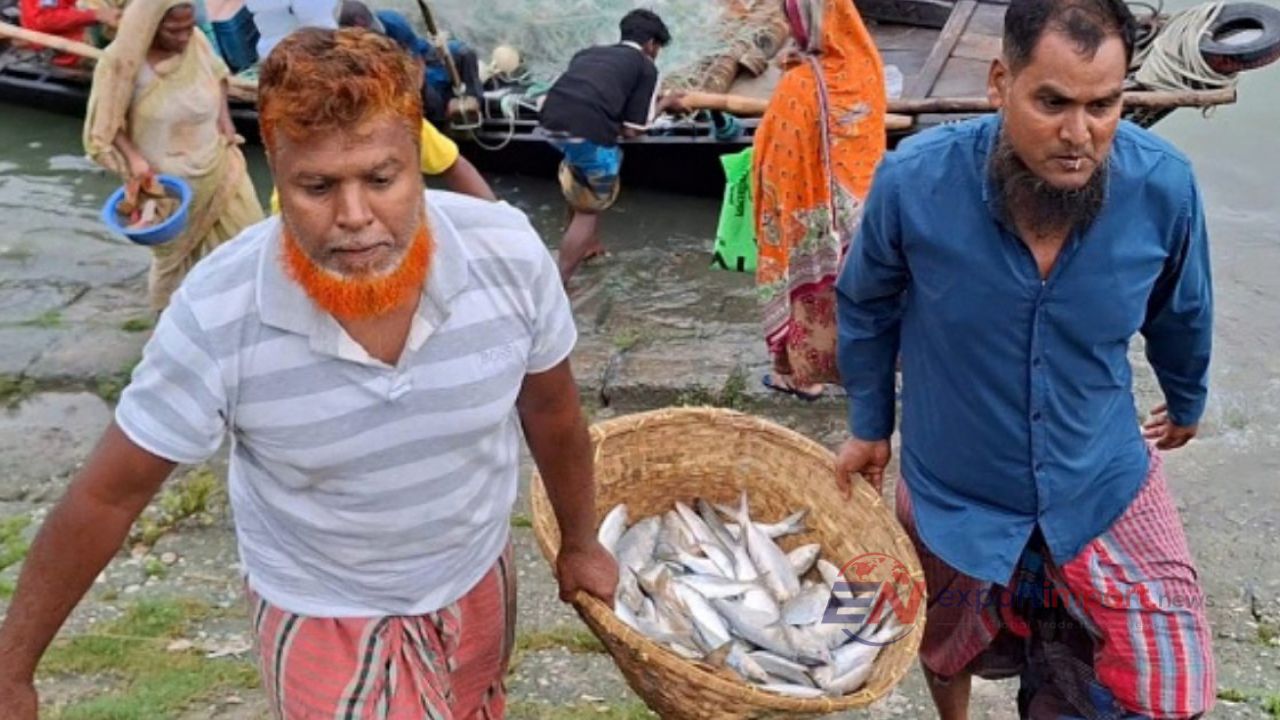 ইলিশের উৎপাদন ও বিচরণে বড় বাধা দূষণ: মৎস্য ও প্রাণিসম্পদ মন্ত্রী