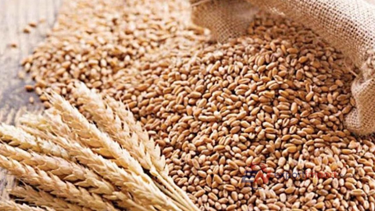 যুক্তরাষ্ট্র থেকে এলো ১ লাখ ৭৫ হাজার টন গম